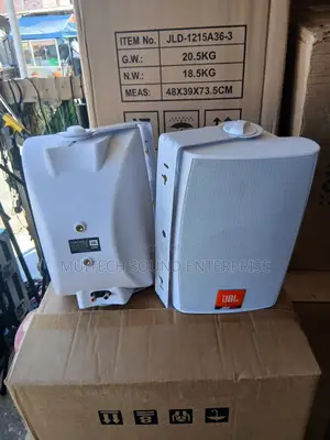 Wall Mount Speaker (6 Inches