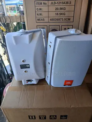 Wall Mount Speaker (6 Inches