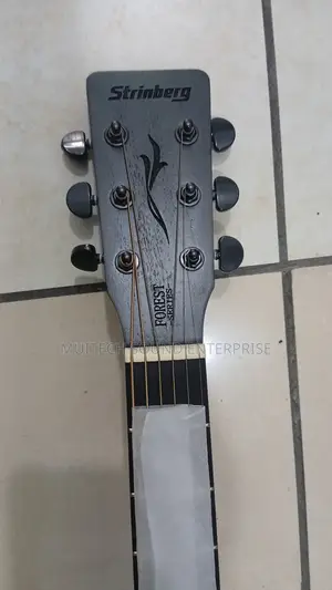 Semi Aqustic Guitar (Bass)