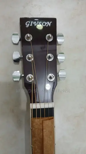 Semi Aqustic Guitar (Bass)