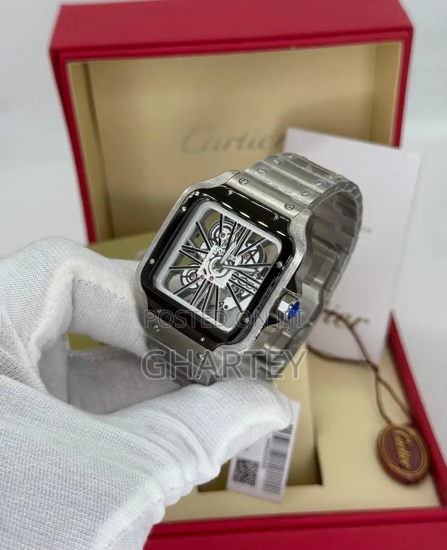 Skeleton Premium Santos De Cartier Mechanical Watch