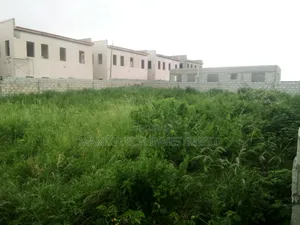 First-Class Choice Land - Oyarifa