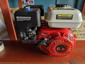 6.5hp Petrol Engine Quality