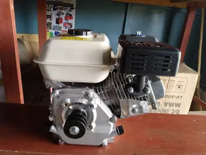 6.5hp Petrol Engine Quality