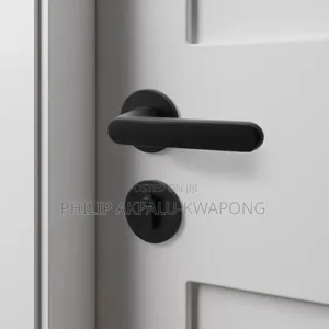 Modern Matte Black Door Lock