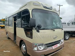 Hyundai County 2014 Beige
