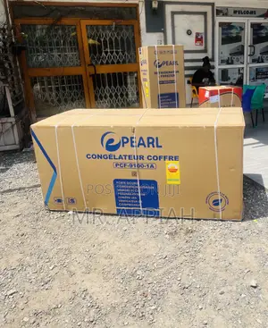 Shop Wonderful Pearl PVC 9100-1a 2 Door Electric Freezer.