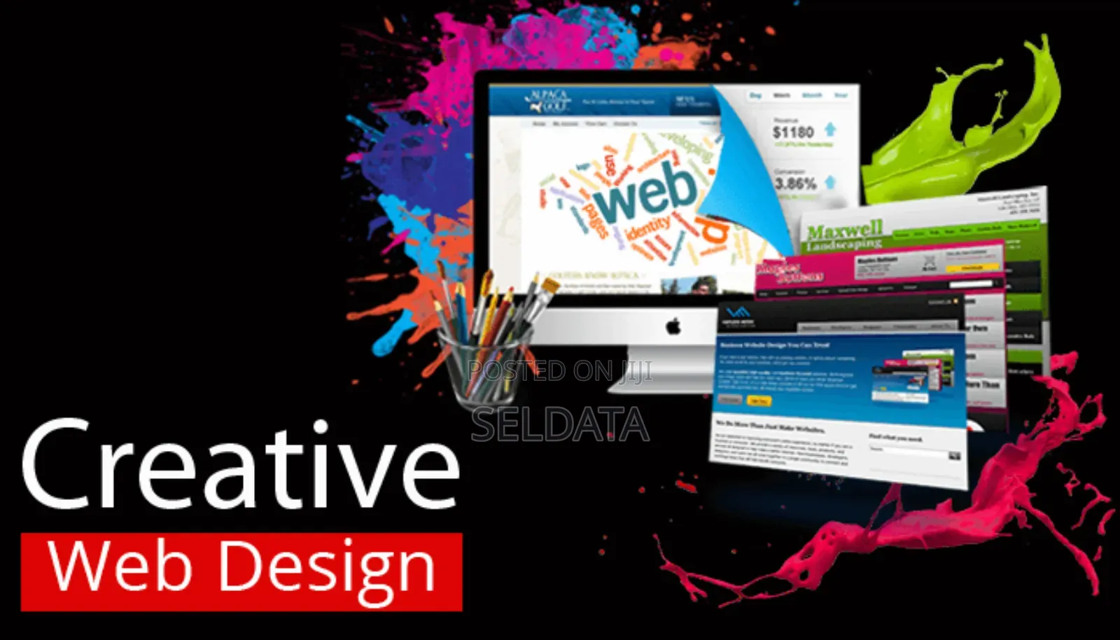 Professional Website Design and Development Service