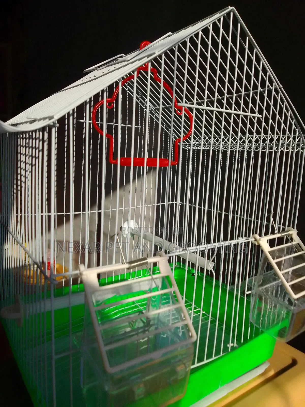 Bird Cage for Birds