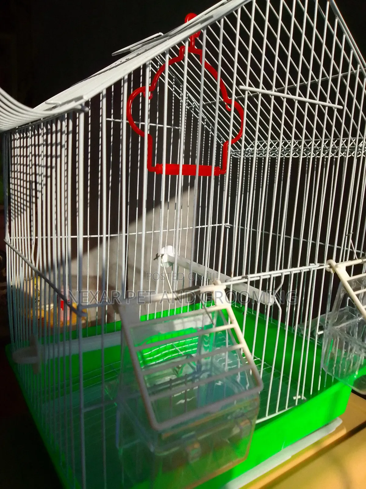 Bird Cage for Birds