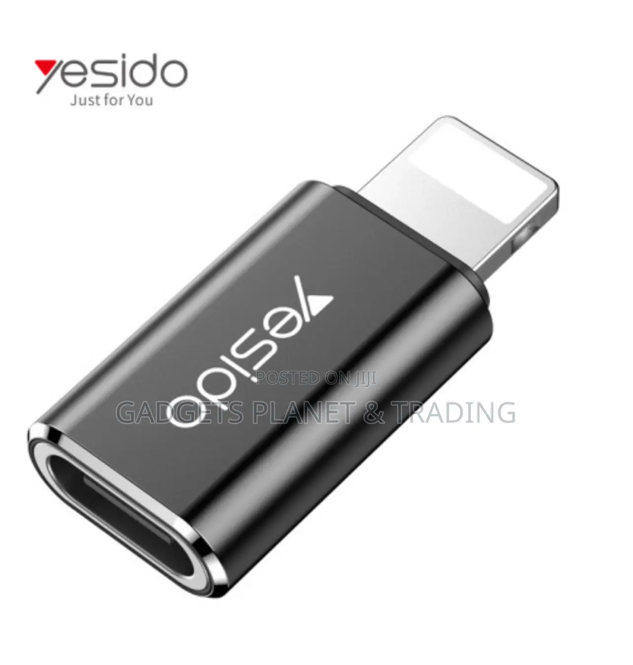Lightning to Type-C Data Transfer Fast Charge Otg Adapter