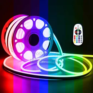 Neon Strip Light _ Rgb_ 100m With Remote