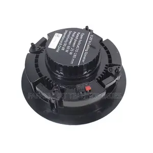 Passive 25w-60w Ceiling Speakers