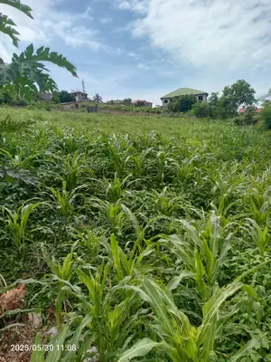 Gt/Accra - New Bortiano, (Adansiman) _ 8 Plots Mountain Land