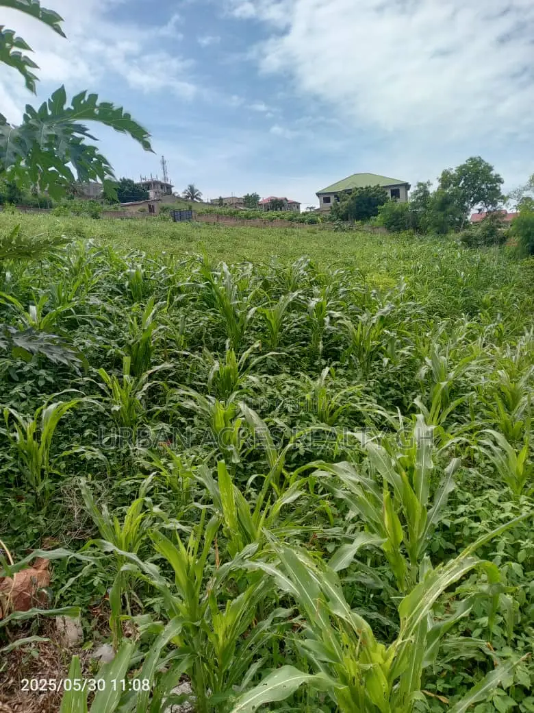 Gt/Accra - New Bortiano, (Adansiman) _ 8 Plots Mountain Land