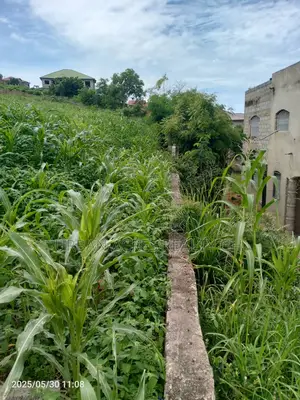 Gt/Accra - New Bortiano, (Adansiman) _ 8 Plots Mountain Land