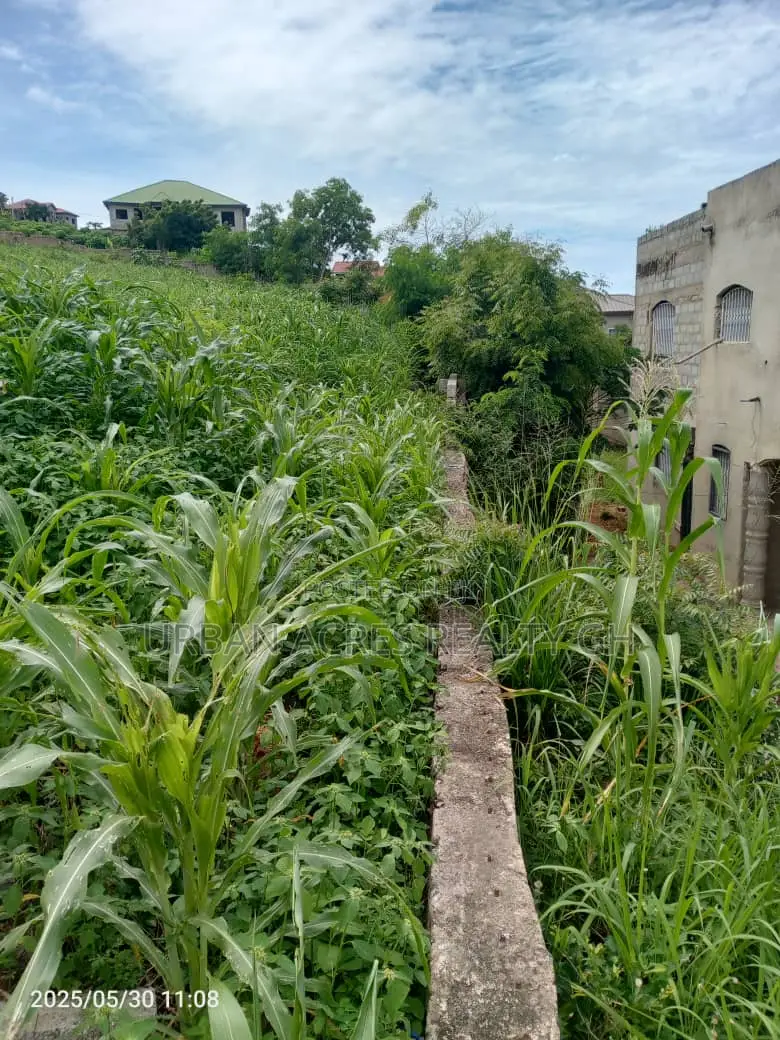 Gt/Accra - New Bortiano, (Adansiman) _ 8 Plots Mountain Land