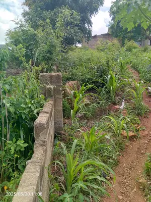 Gt/Accra - New Bortiano, (Adansiman) _ 8 Plots Mountain Land