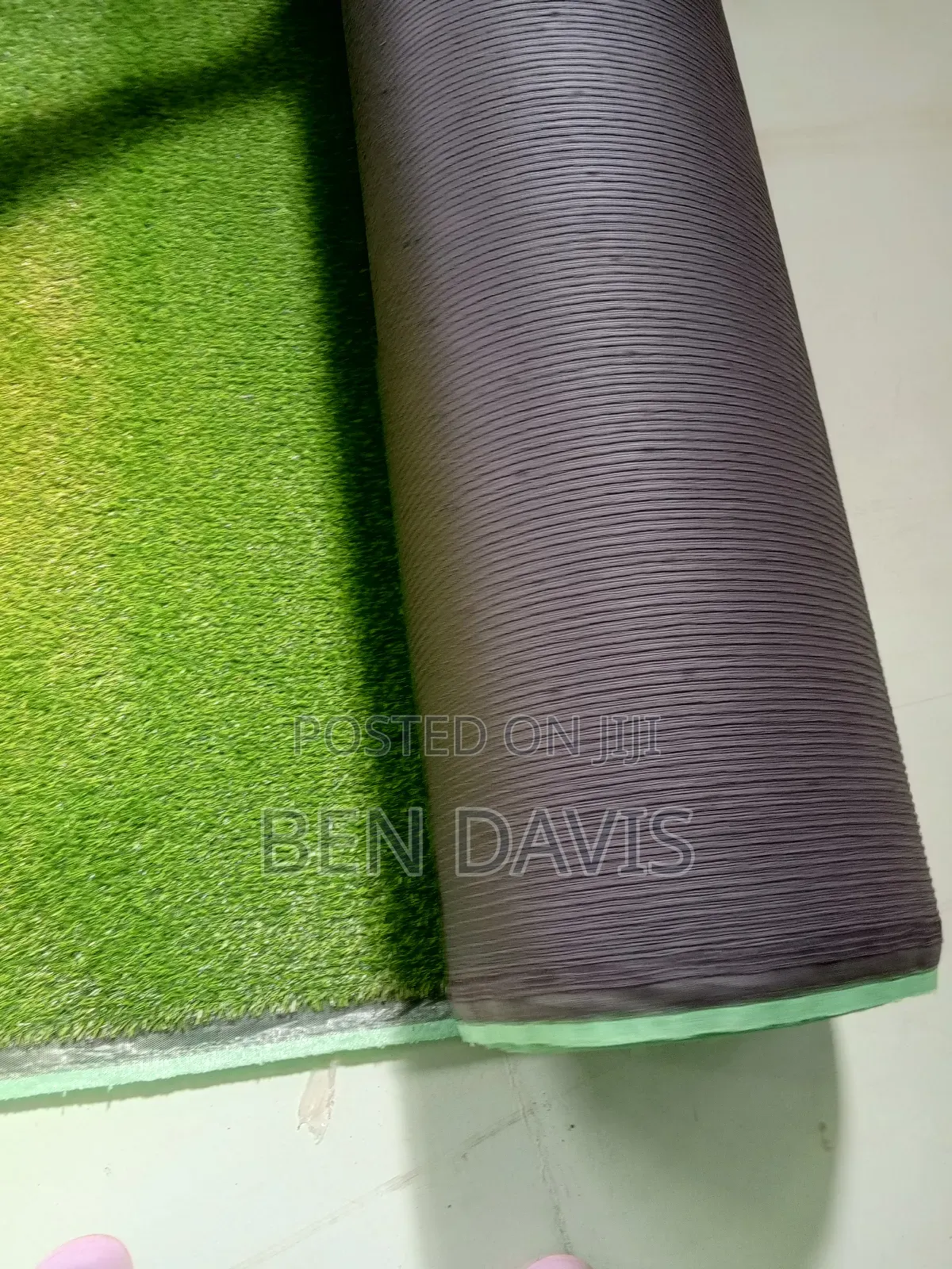 Carpet Grass