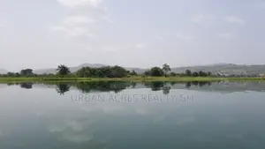 Asuogyaman Dist - (Senchi) _ 20+ Acres Island on Volta River