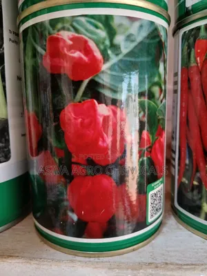 Safi Hot Pepper