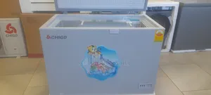 Chigo Freezer 310l