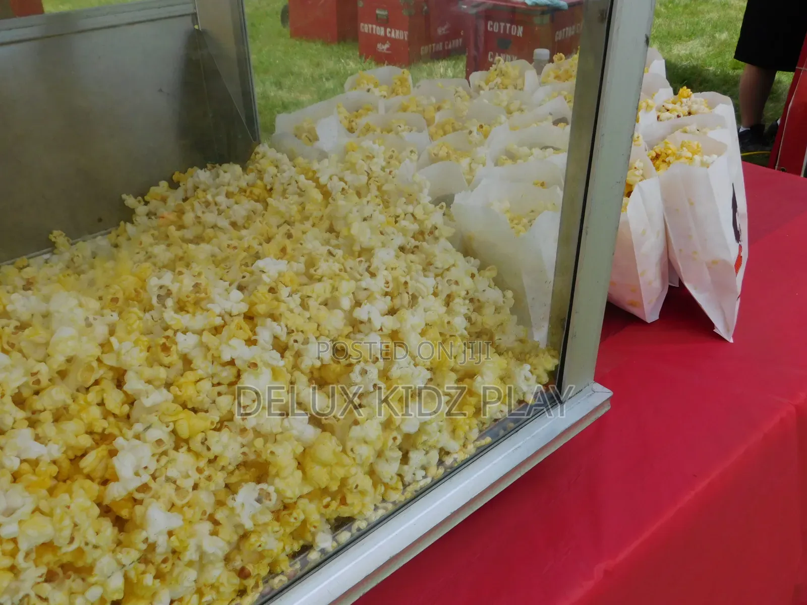 Cotton Candy and Popcorn Services for 100guests
