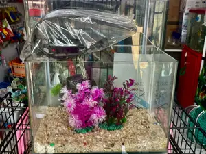 Queens Aquarium Package