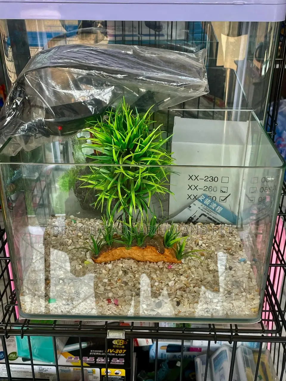 Queens Table Top Aquarium