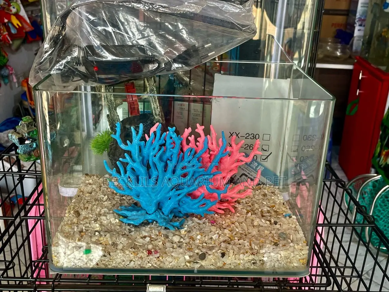 Robins Table Top Aquarium
