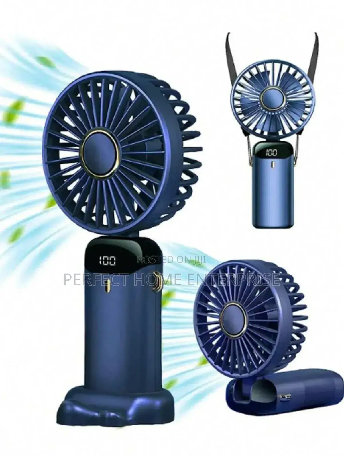 Bridal Fan