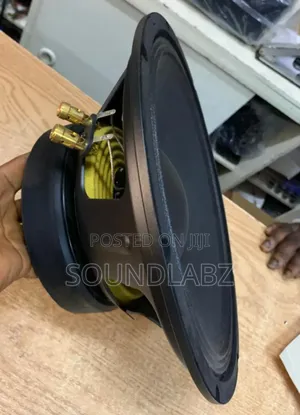Jld-pw12101-10 12" 12inches Pair Naked Pa Speaker
