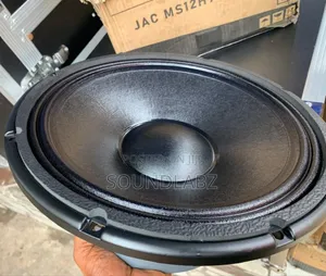 Jac 12 Inches Double Magnet Naked Speaker