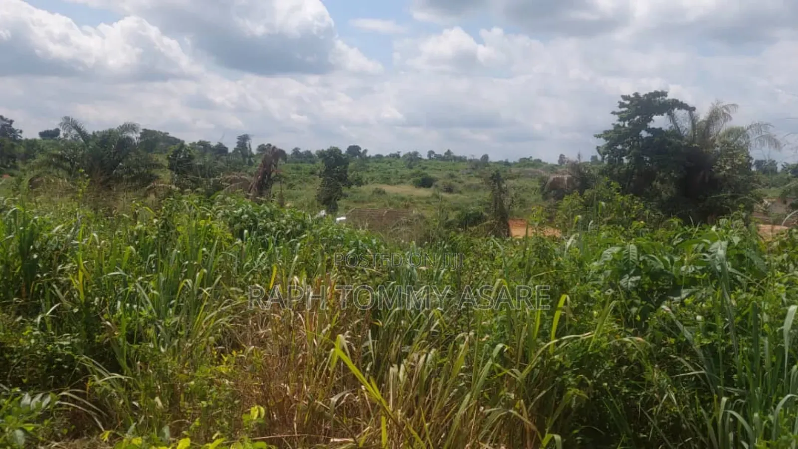 Well Located Land for Sale at Sarfo Kasaam Around Mamponteng