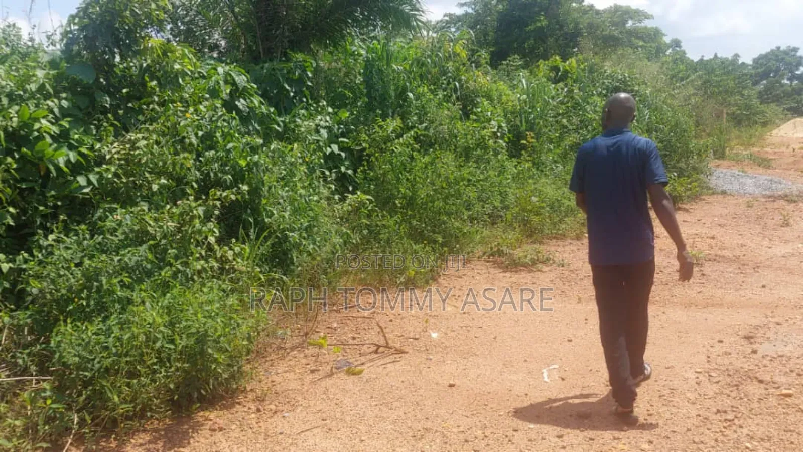 Well Located Land for Sale at Sarfo Kasaam Around Mamponteng