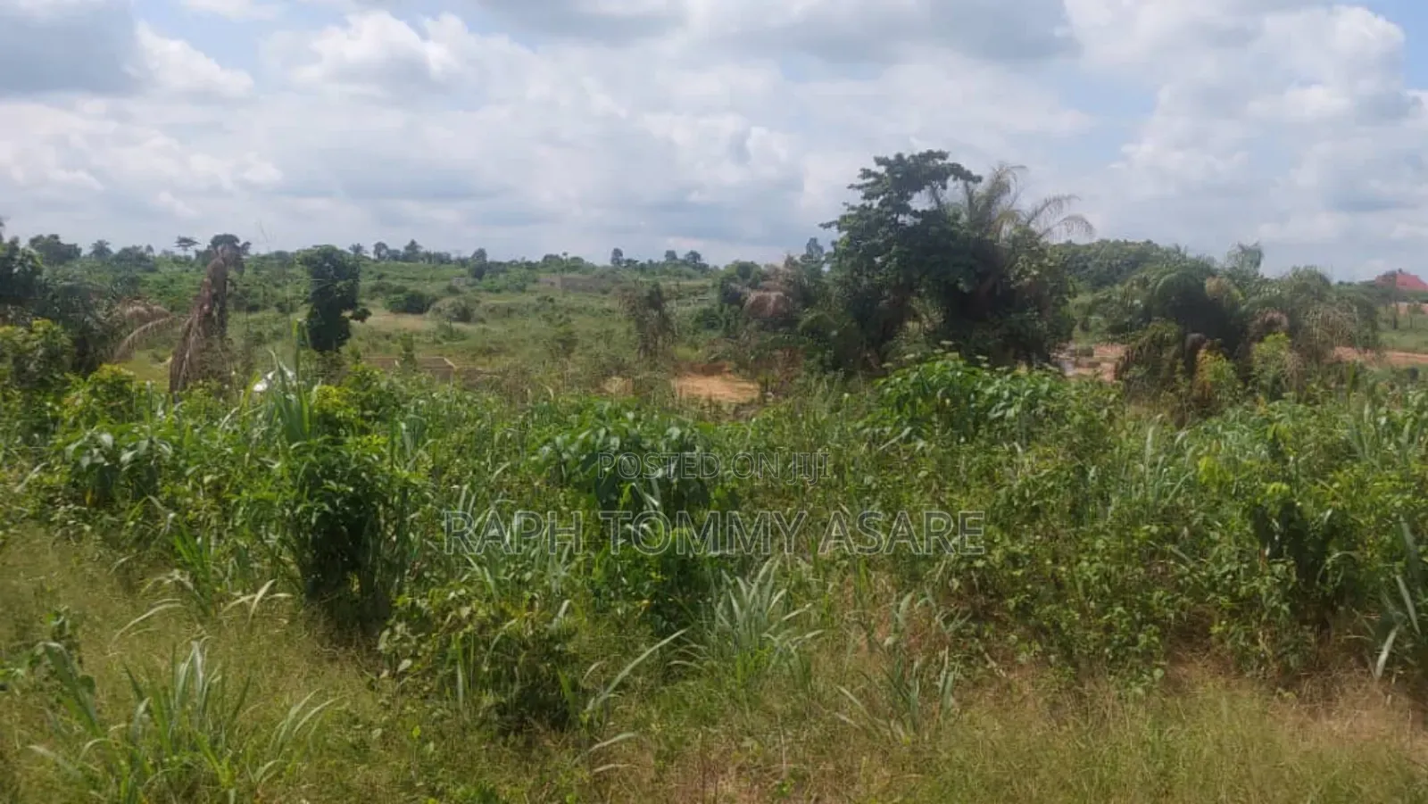 Well Located Land for Sale at Sarfo Kasaam Around Mamponteng
