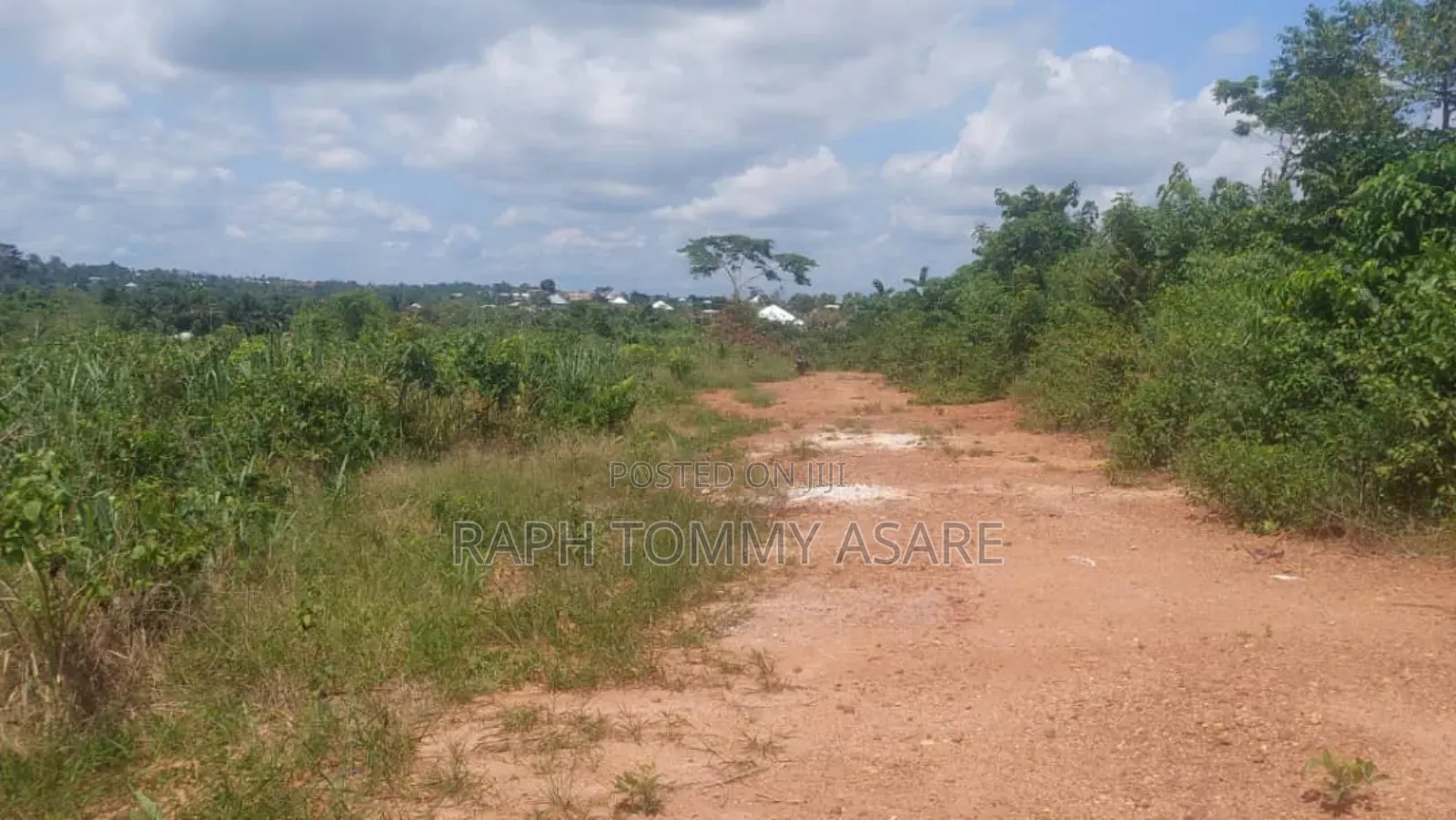 Well Located Land for Sale at Sarfo Kasaam Around Mamponteng