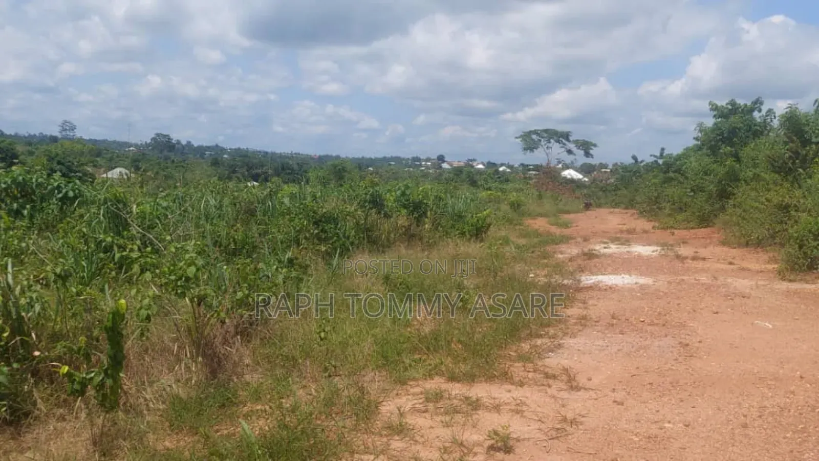 Well Located Land for Sale at Sarfo Kasaam Around Mamponteng