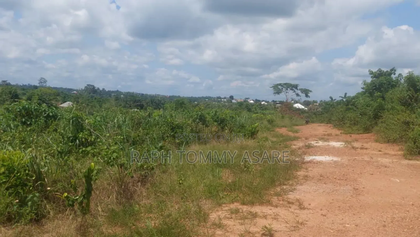 Well Located Land for Sale at Sarfo Kasaam Around Mamponteng