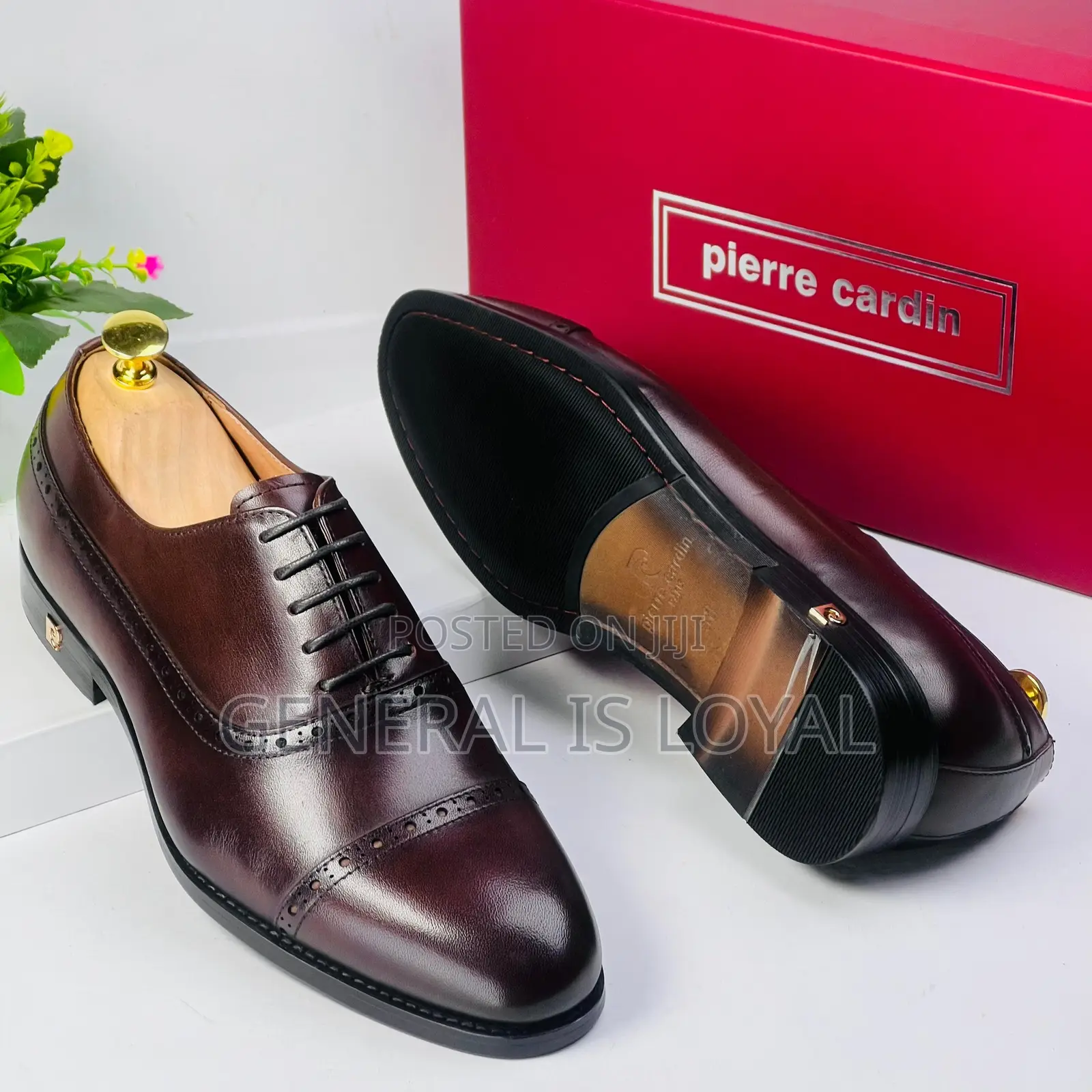 Pierre Cardin Men Shoe