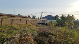 Tema, (Community 10) _ 2 Plots (0.34 Acre) Land