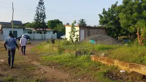 Tema, (Community 10) _ 2 Plots (0.34 Acre) Land