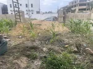 Half Plot of Land4sale at Tse Addo Behinde Tradefair Labadi