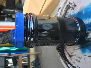 Colorant and Acrylic Paint