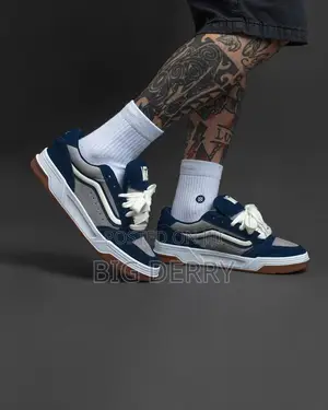 Vans Hylane Sneakers