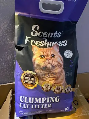 10kg Bentonite Cat Litter