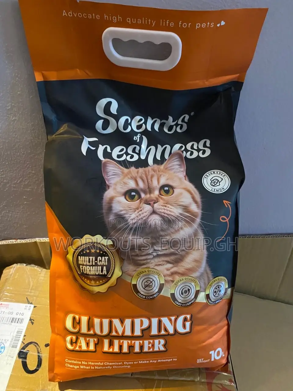 10kg Bentonite Cat Litter