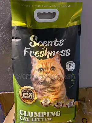 10kg Bentonite Cat Litter