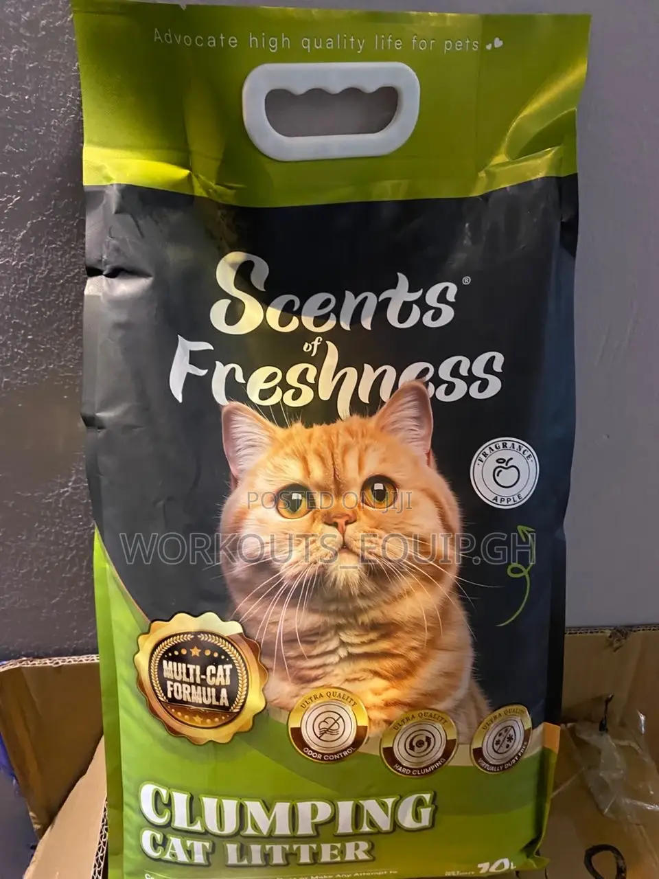 10kg Bentonite Cat Litter