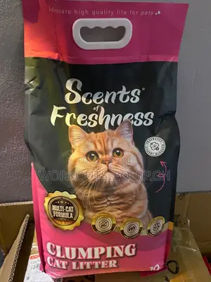 10kg Bentonite Cat Litter